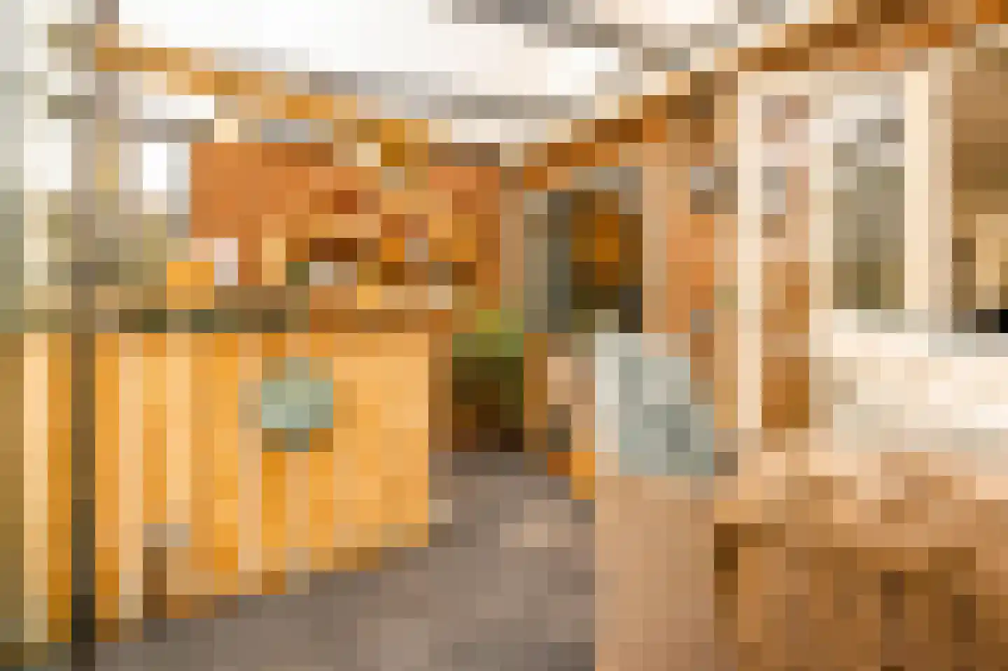 Tomatenstraat 49 Leiden thumbnail 25