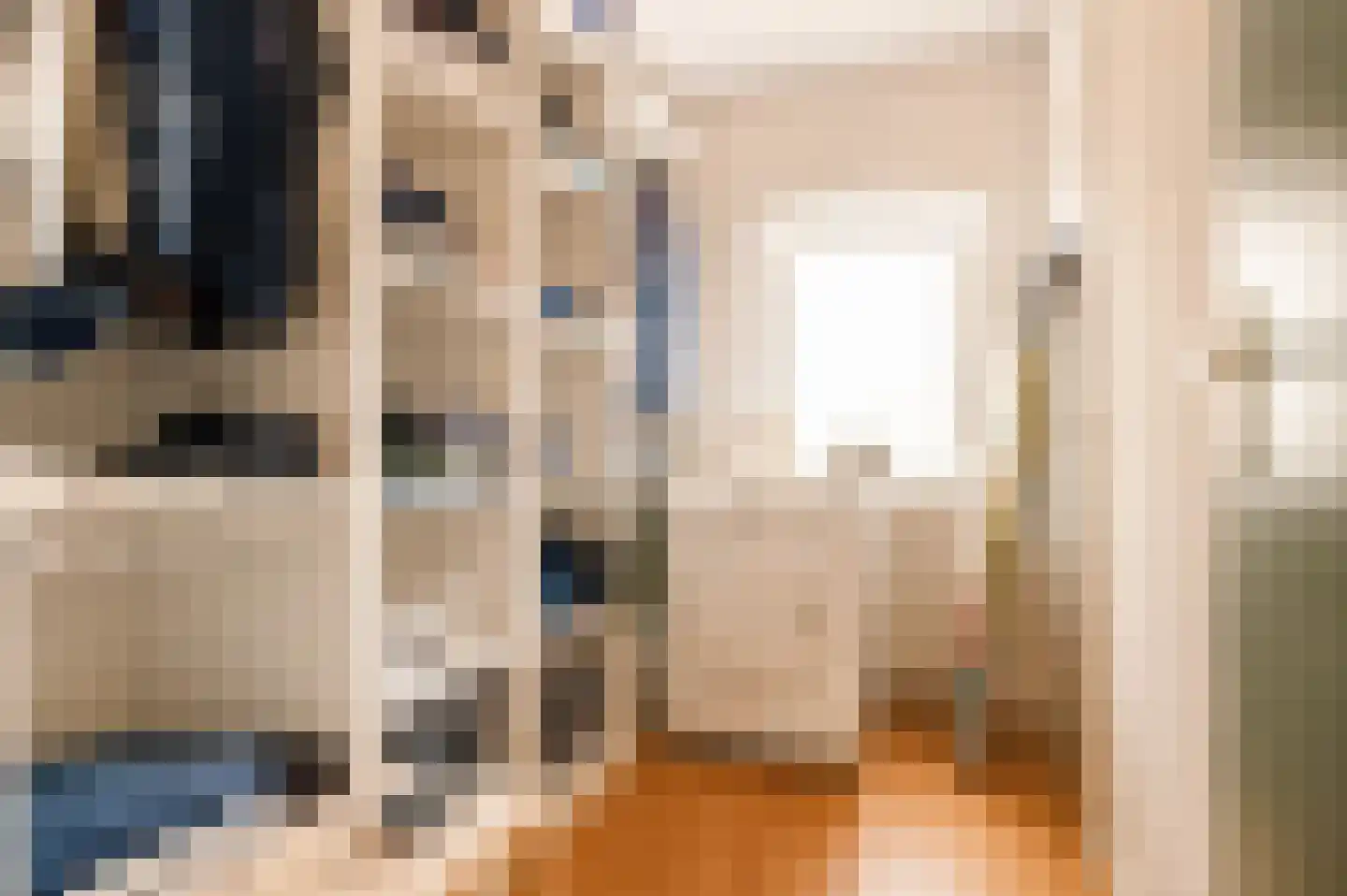 Tomatenstraat 49 Leiden thumbnail 33