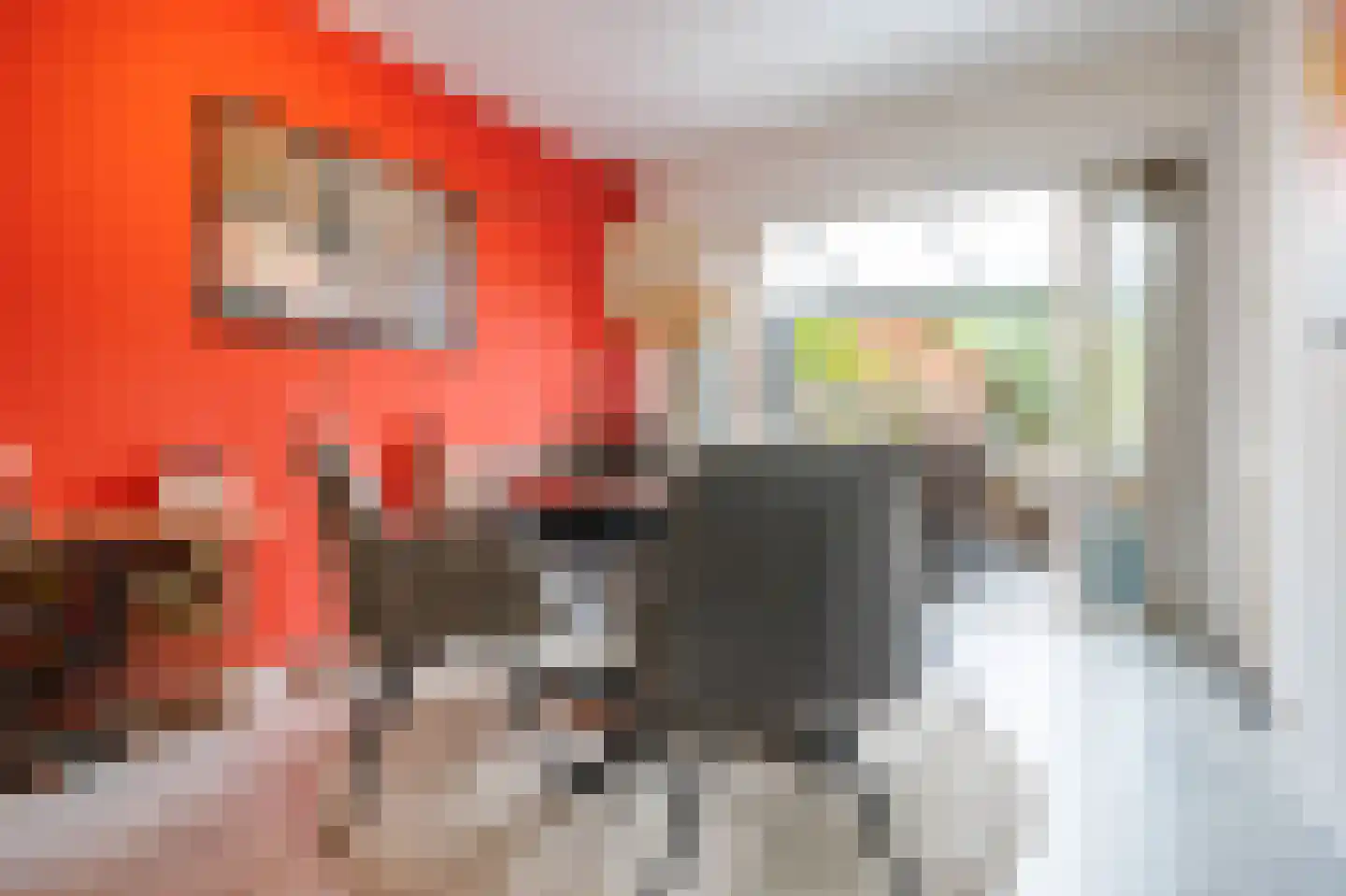 Tomatenstraat 49 Leiden thumbnail 4