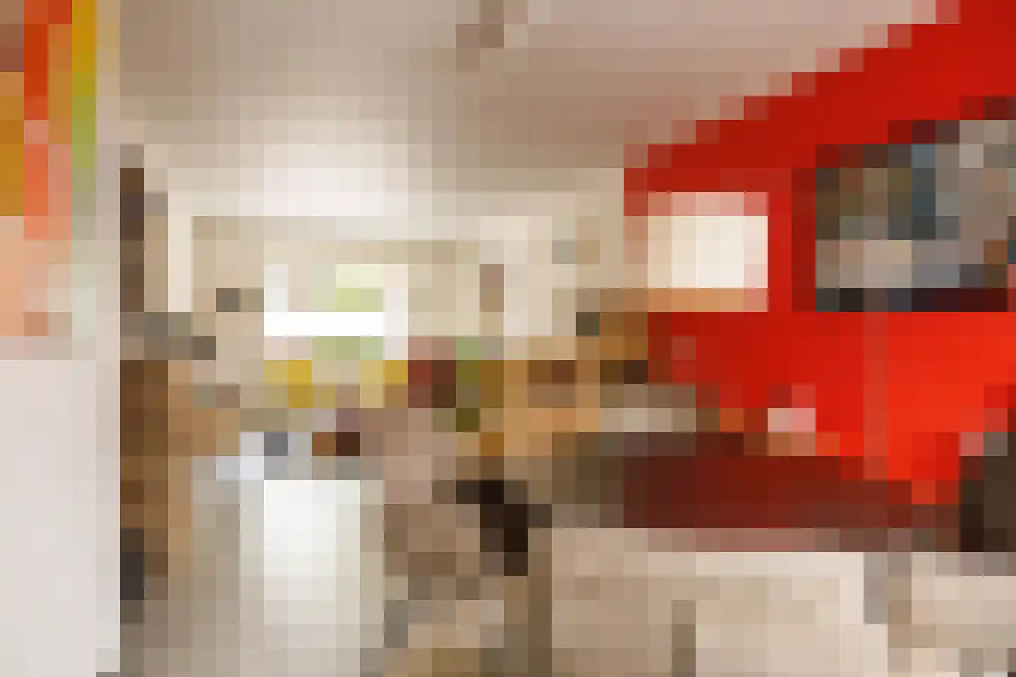 Tomatenstraat 49 Leiden thumbnail 8