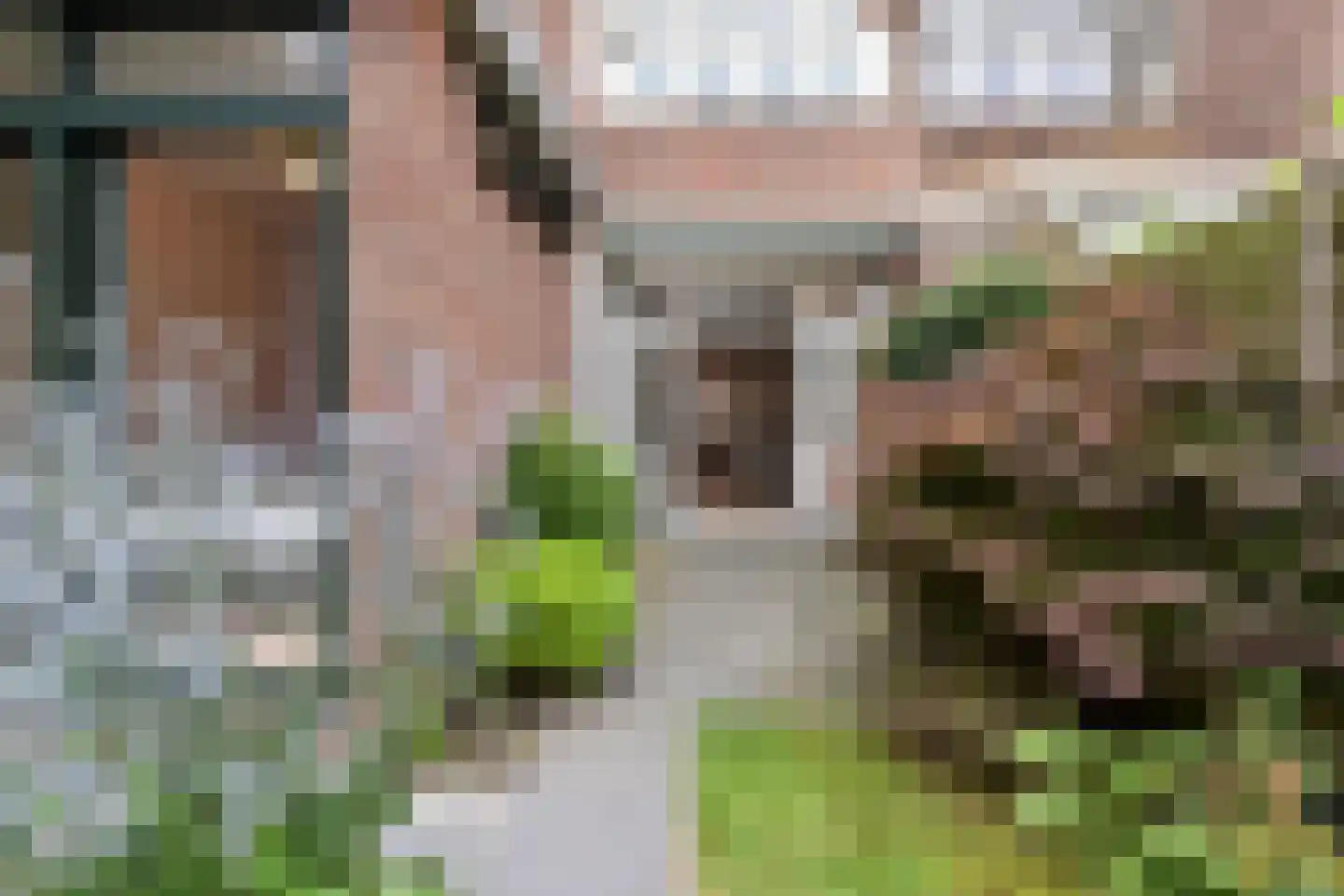 Tomatenstraat 61 Den Haag thumbnail 30