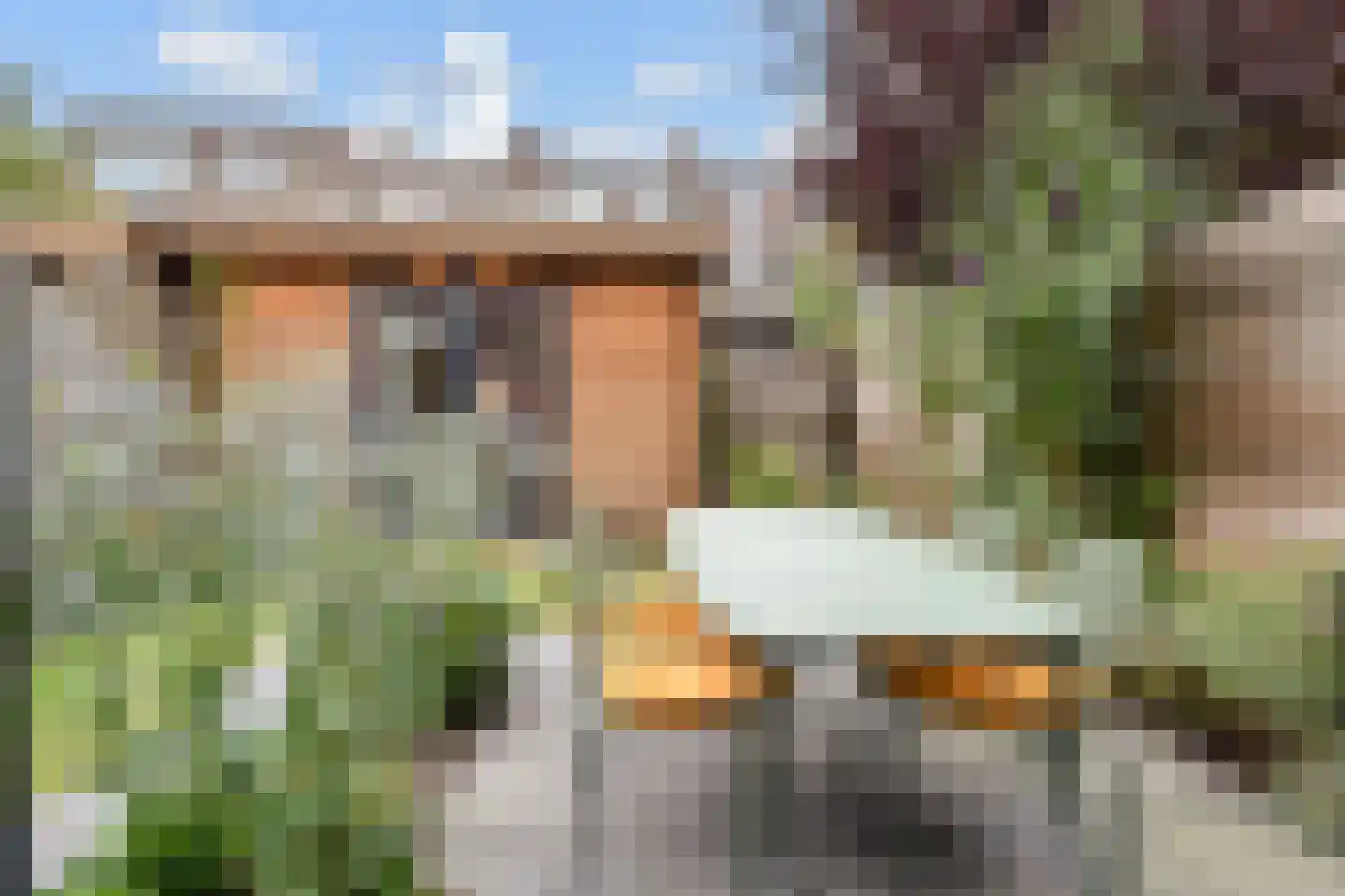 Tomatenstraat 61 Den Haag thumbnail 31