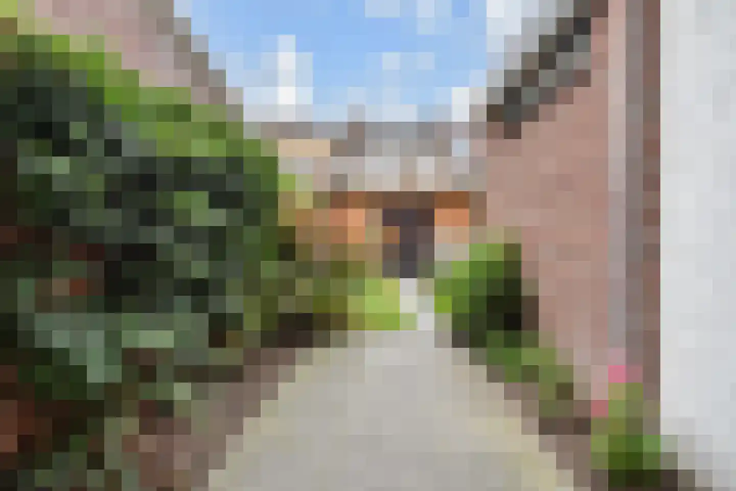 Tomatenstraat 61 Den Haag thumbnail 35