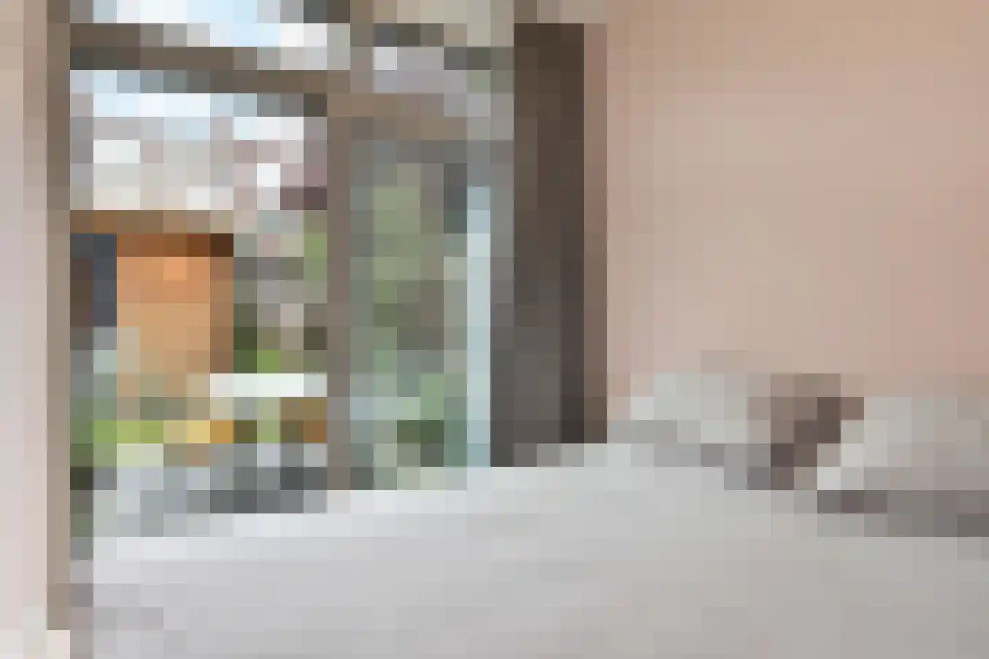 Tomatenstraat 61 Den Haag thumbnail 5