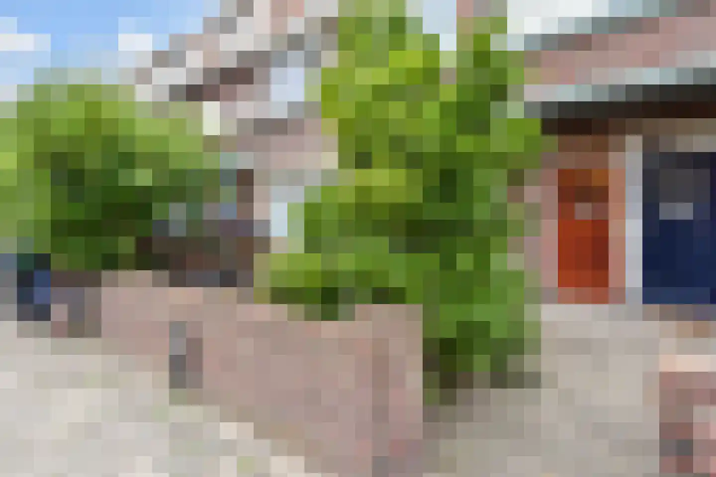 Tomatenstraat 61 Den Haag thumbnail 6