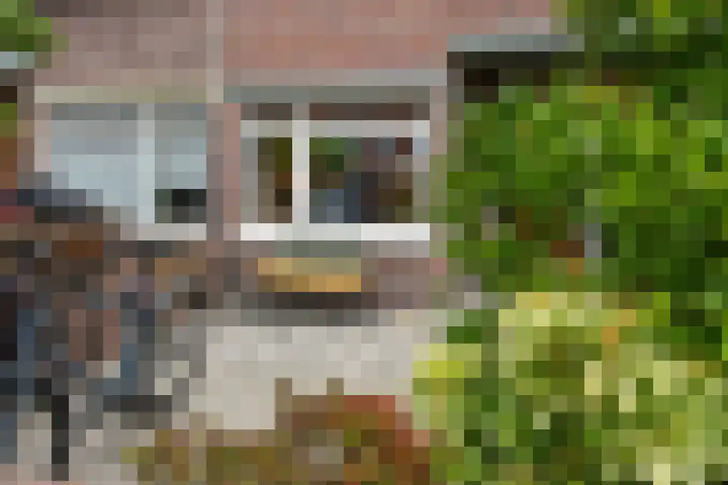 Tomatenstraat 61 Den Haag thumbnail 7