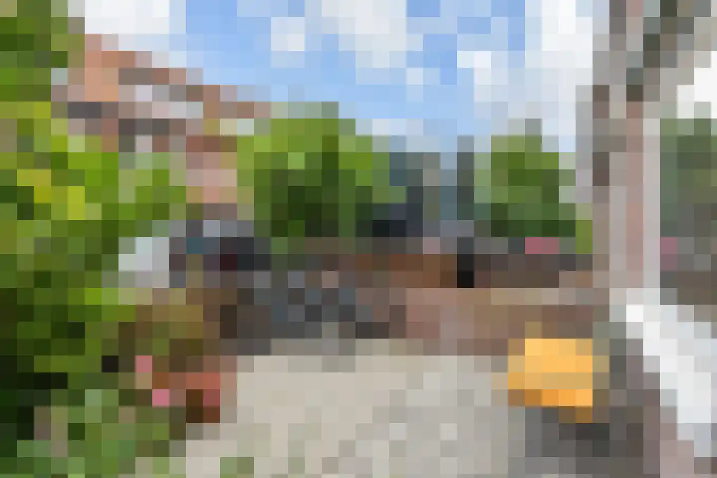 Tomatenstraat 61 Den Haag thumbnail 8