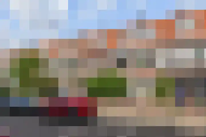 Tomatenstraat 65 Den Haag thumbnail 5