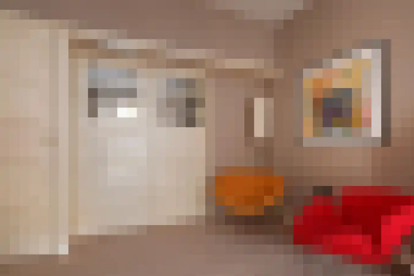 Tomatenstraat 9 Den Haag thumbnail 12