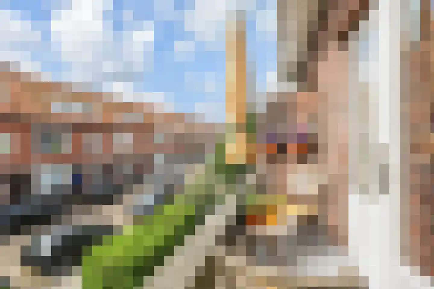 Tomatenstraat 9 Den Haag thumbnail 18