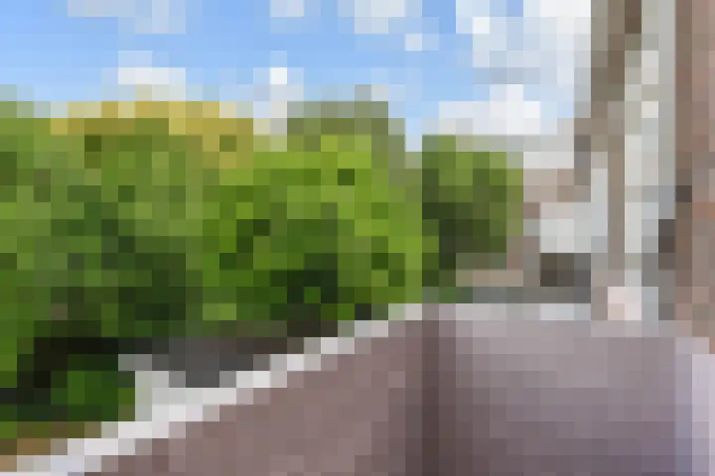 Tomatenstraat 9 Den Haag thumbnail 22