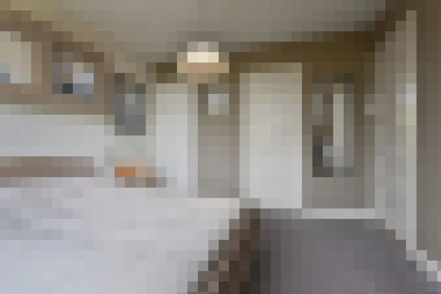 Tomatenstraat 9 Den Haag thumbnail 33