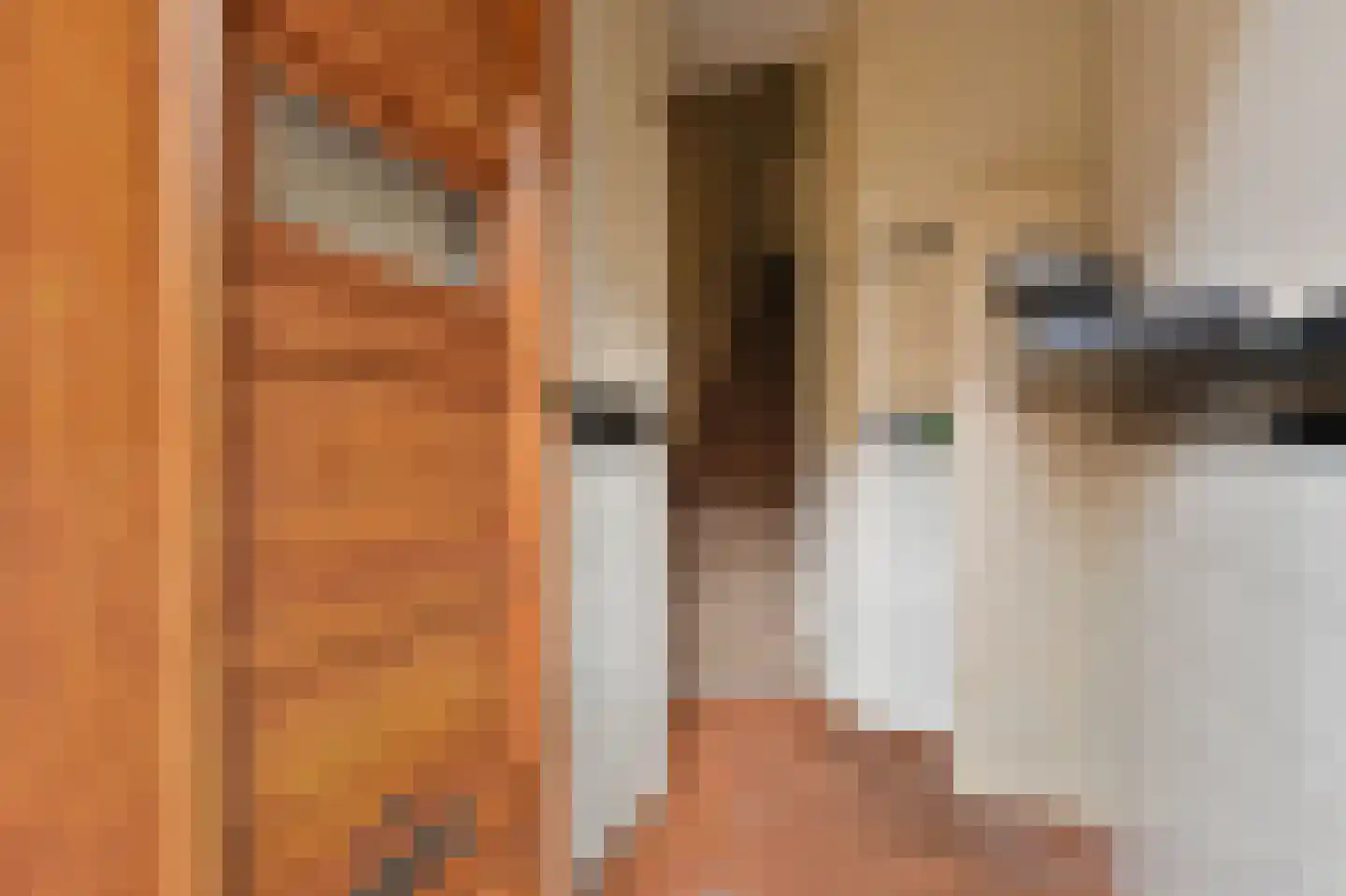 Tomatenstraat 9 Den Haag thumbnail 7