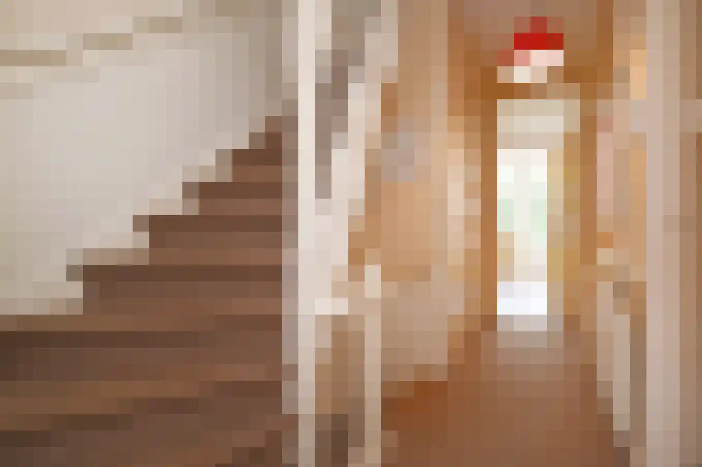 Tomatenstraat 9 Den Haag thumbnail 8