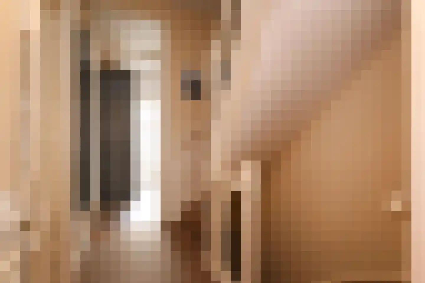 Tomatenstraat 9 Den Haag thumbnail 9