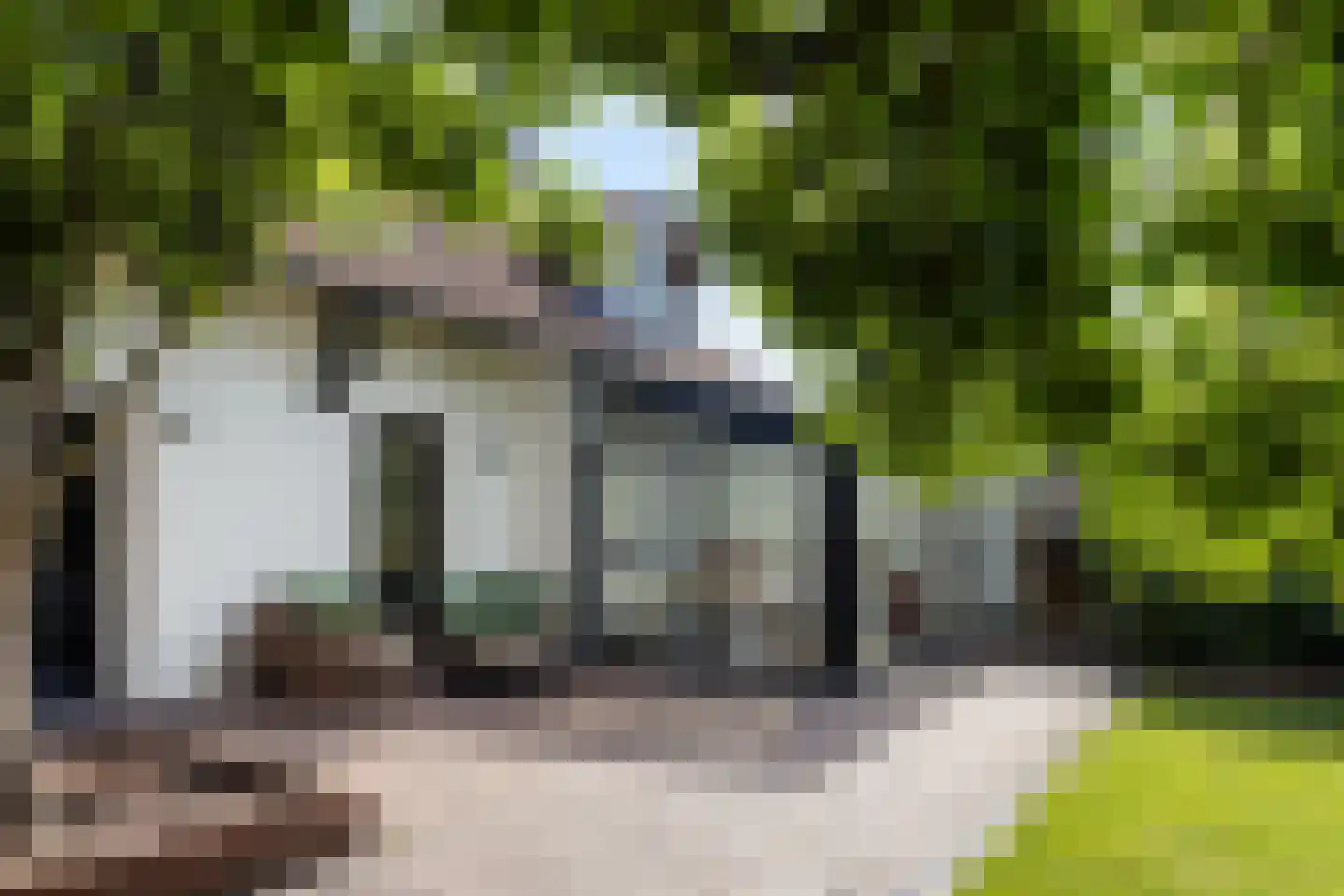 Tomberstraat 39 Papenhoven thumbnail 10