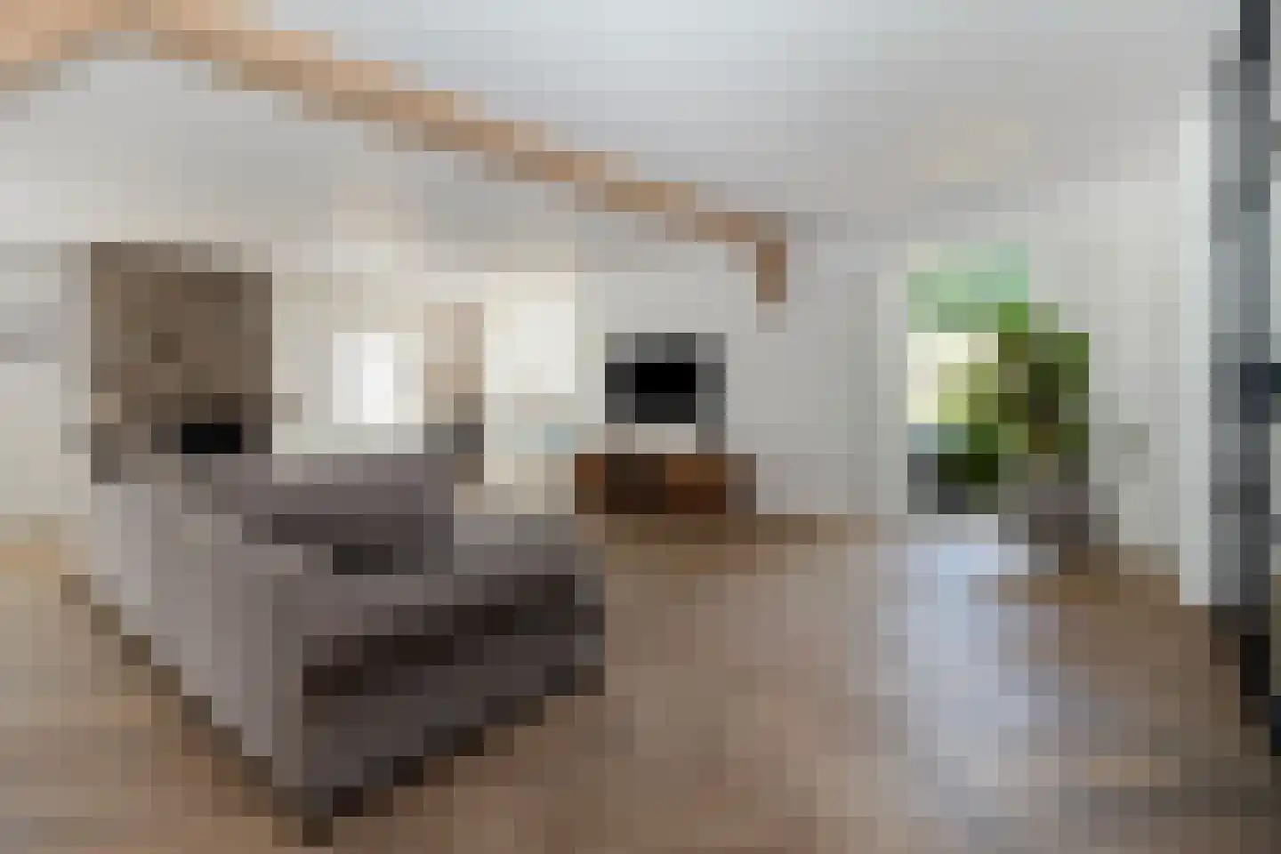 Tomberstraat 39 Papenhoven thumbnail 16