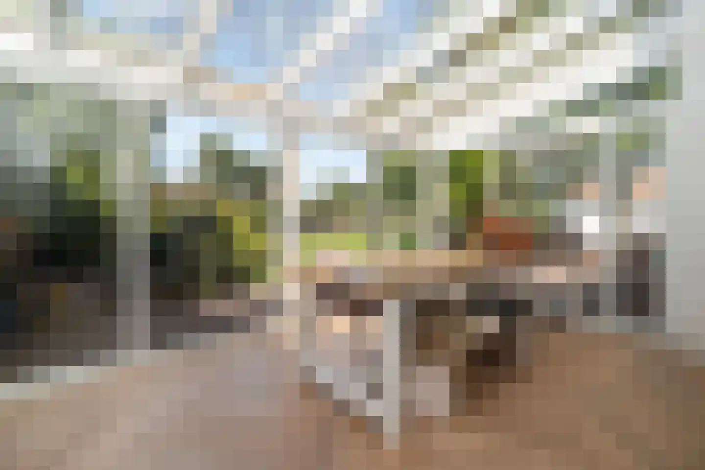 Tomberstraat 39 Papenhoven thumbnail 17