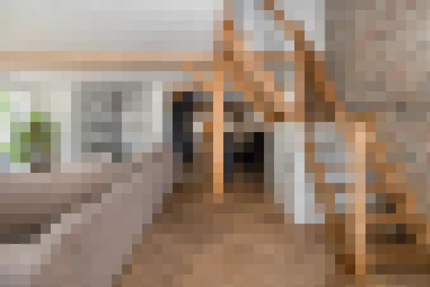Tomberstraat 39 Papenhoven thumbnail 33