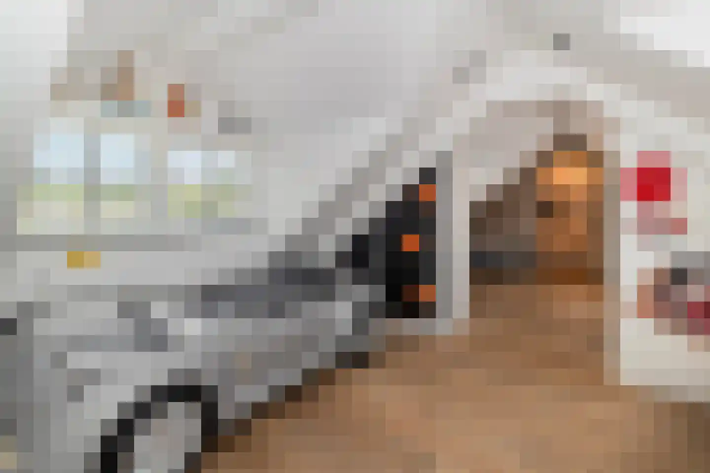 Tomberstraat 39 Papenhoven thumbnail 43