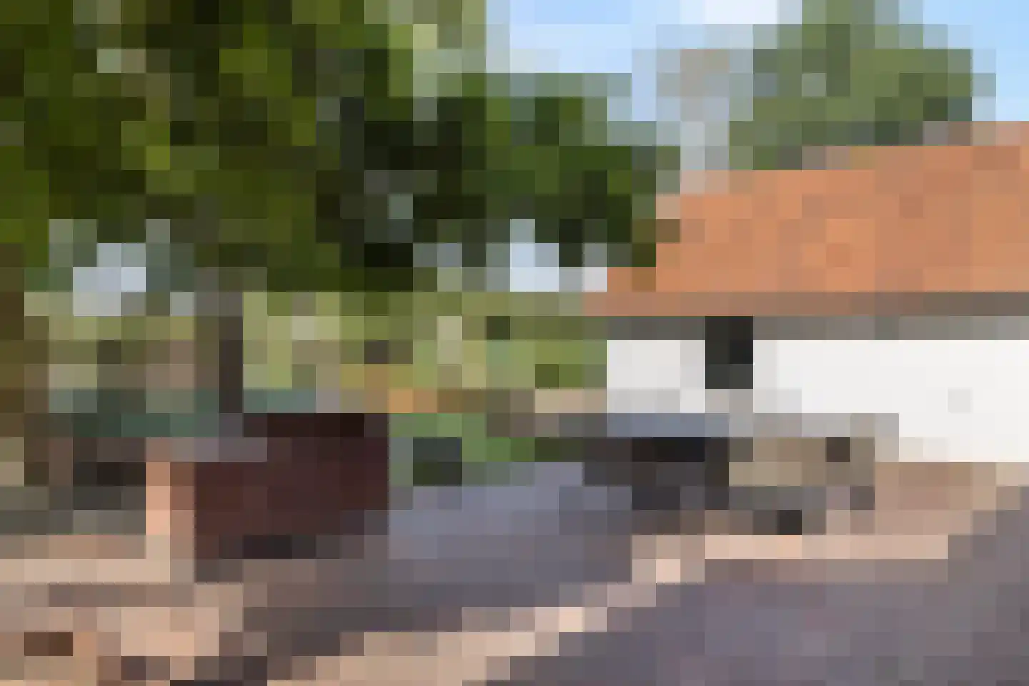 Tomberstraat 39 Papenhoven thumbnail 52