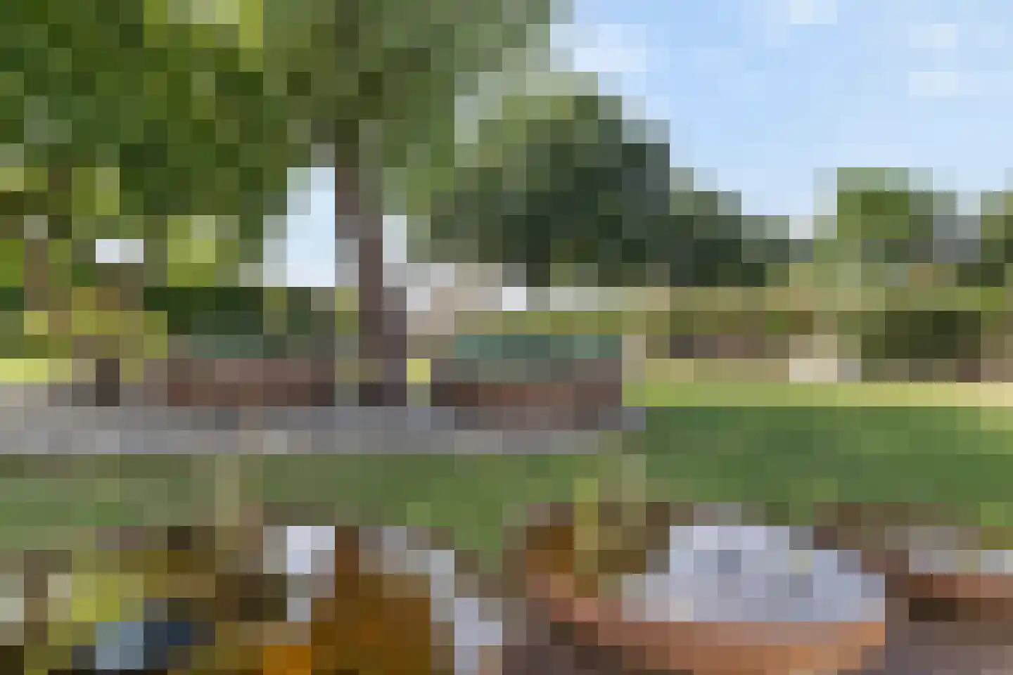 Tomberstraat 39 Papenhoven thumbnail 53