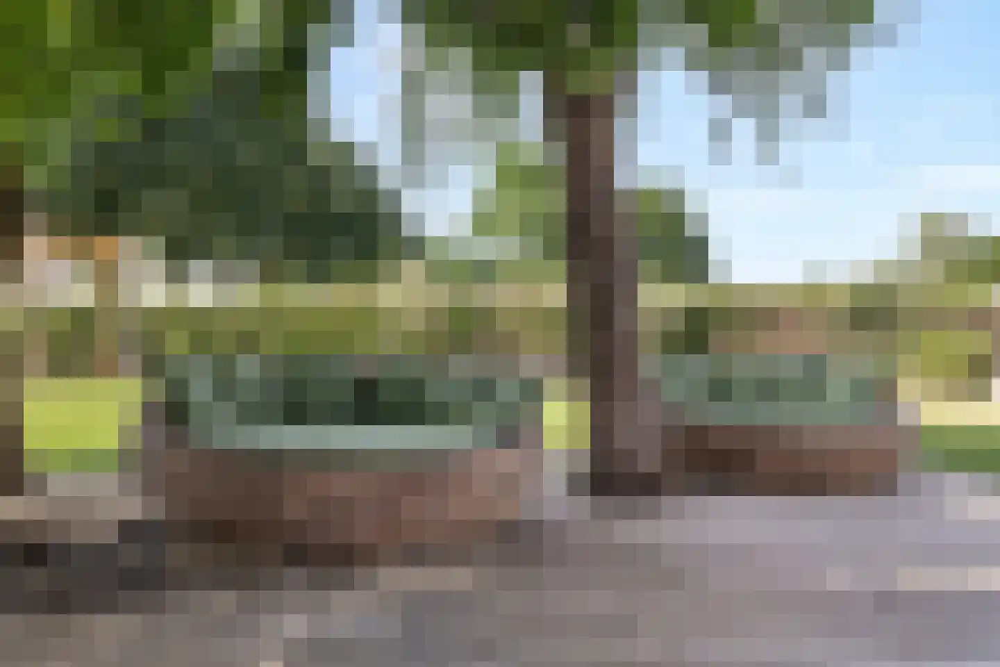Tomberstraat 39 Papenhoven thumbnail 54