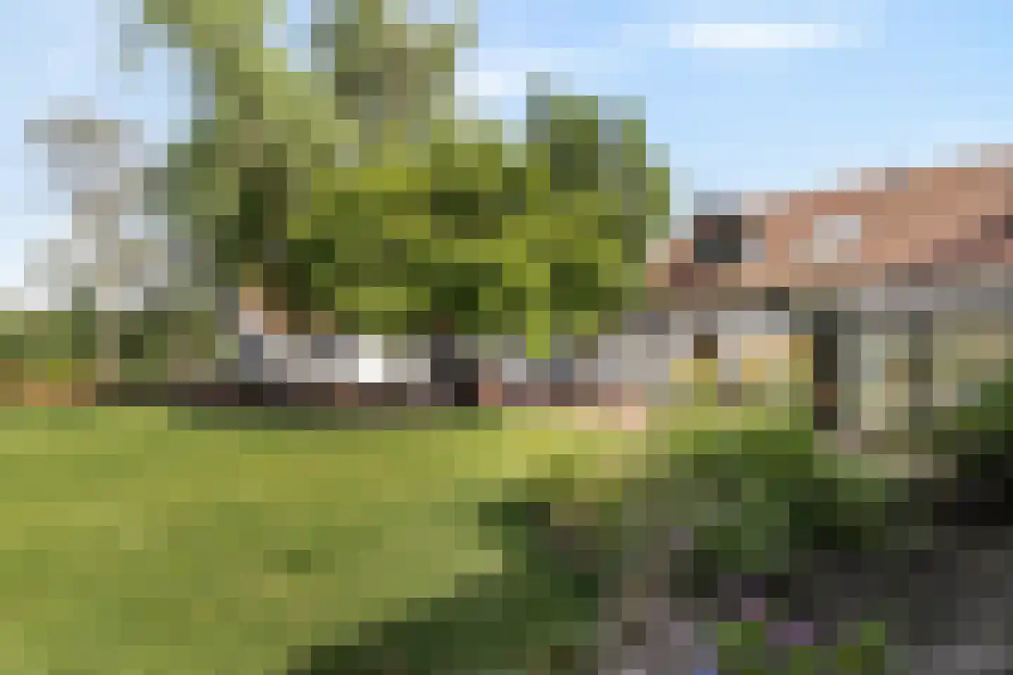 Tomberstraat 39 Papenhoven thumbnail 57