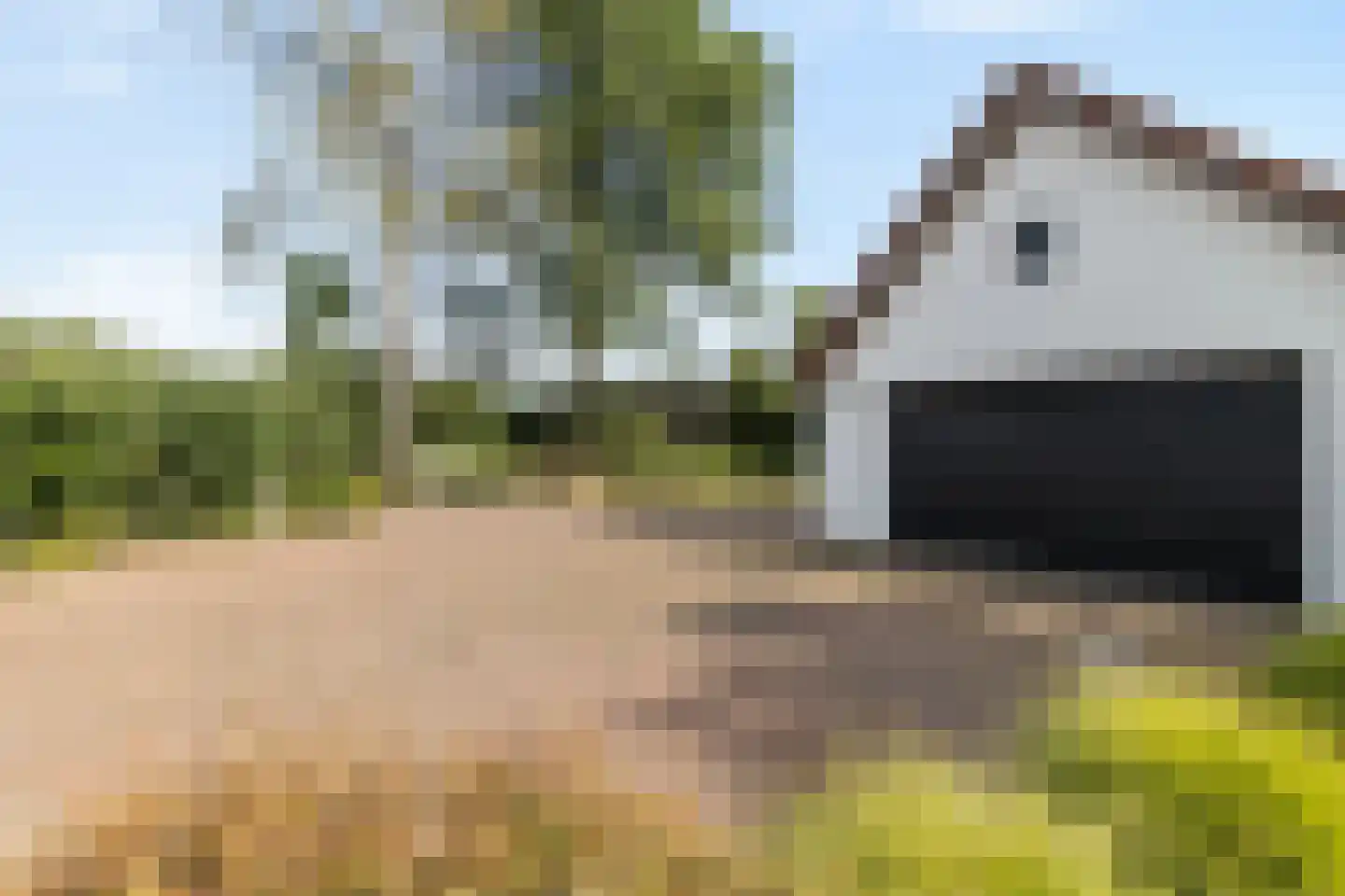 Tomberstraat 39 Papenhoven thumbnail 60