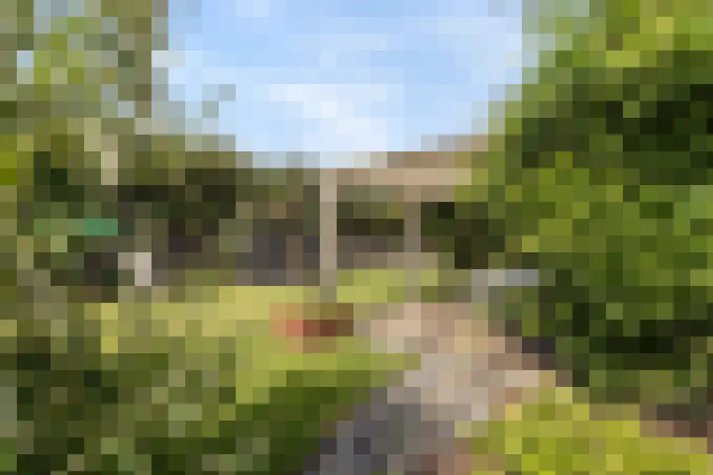 Tomberstraat 39 Papenhoven thumbnail 61