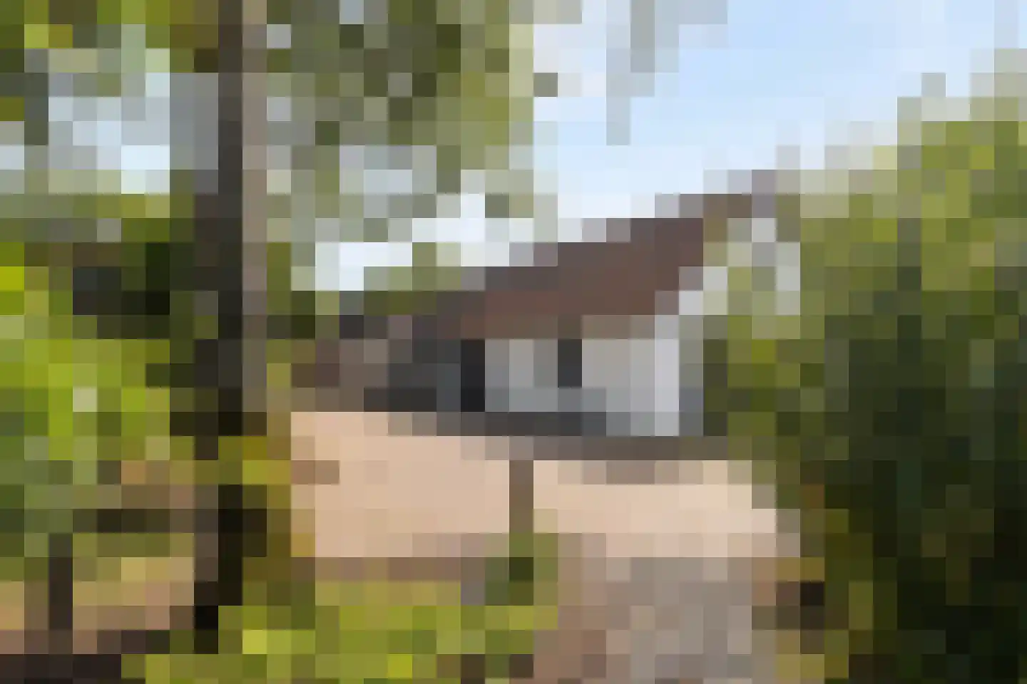 Tomberstraat 39 Papenhoven thumbnail 63