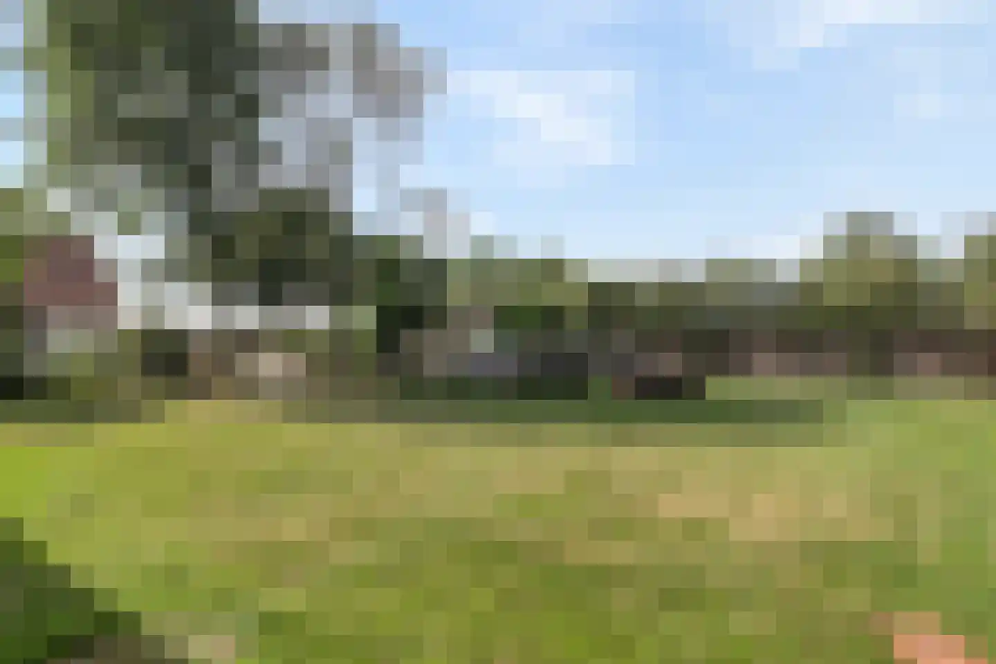 Tomberstraat 39 Papenhoven thumbnail 67