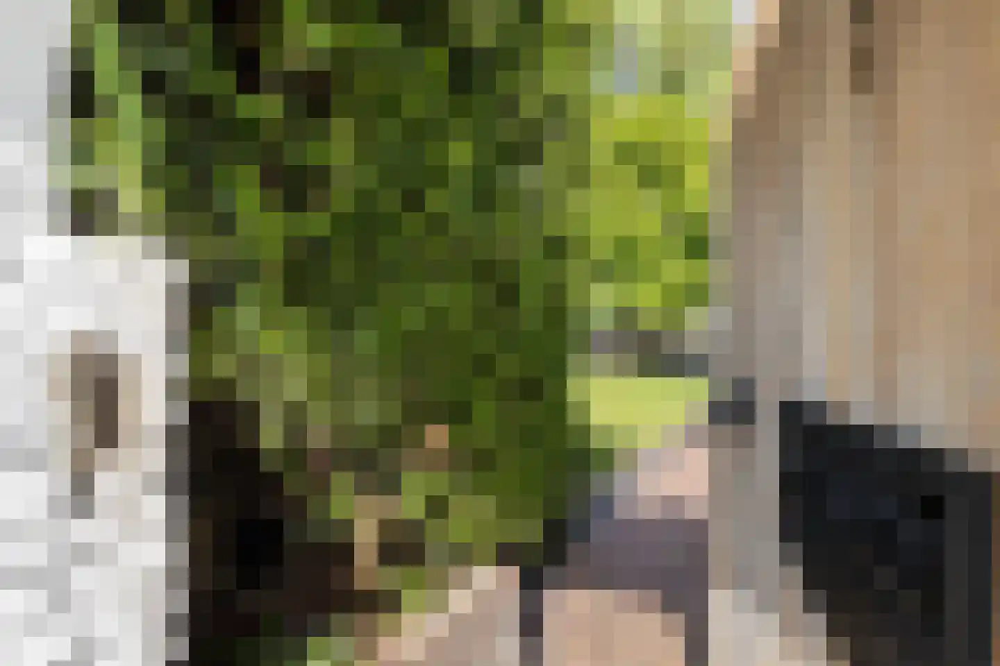 Tomberstraat 39 Papenhoven thumbnail 8