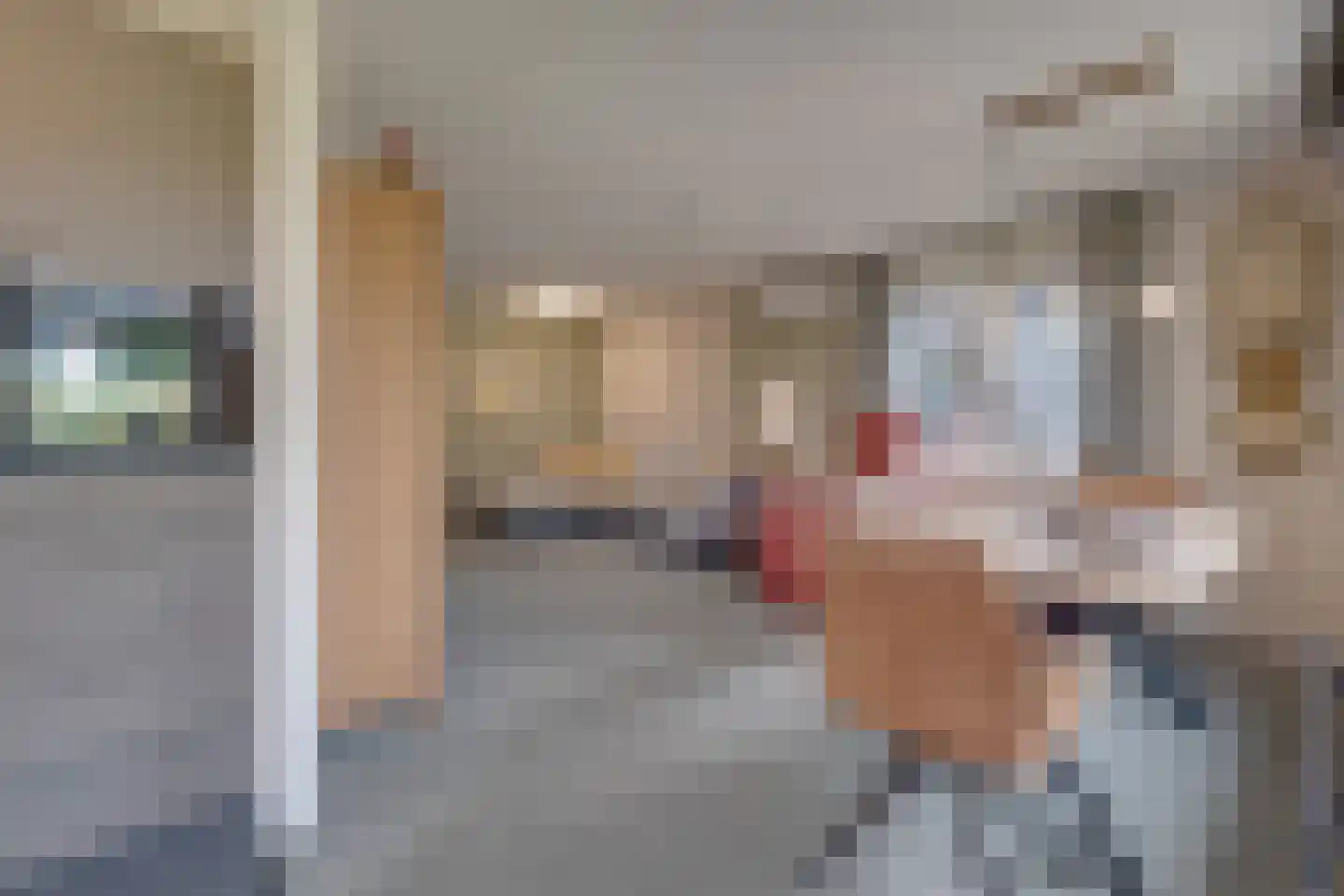Tomberstraat 5 Papenhoven thumbnail 13