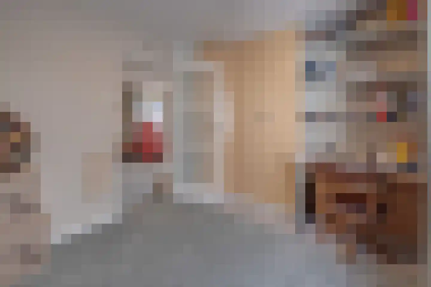 Tomberstraat 5 Papenhoven thumbnail 17