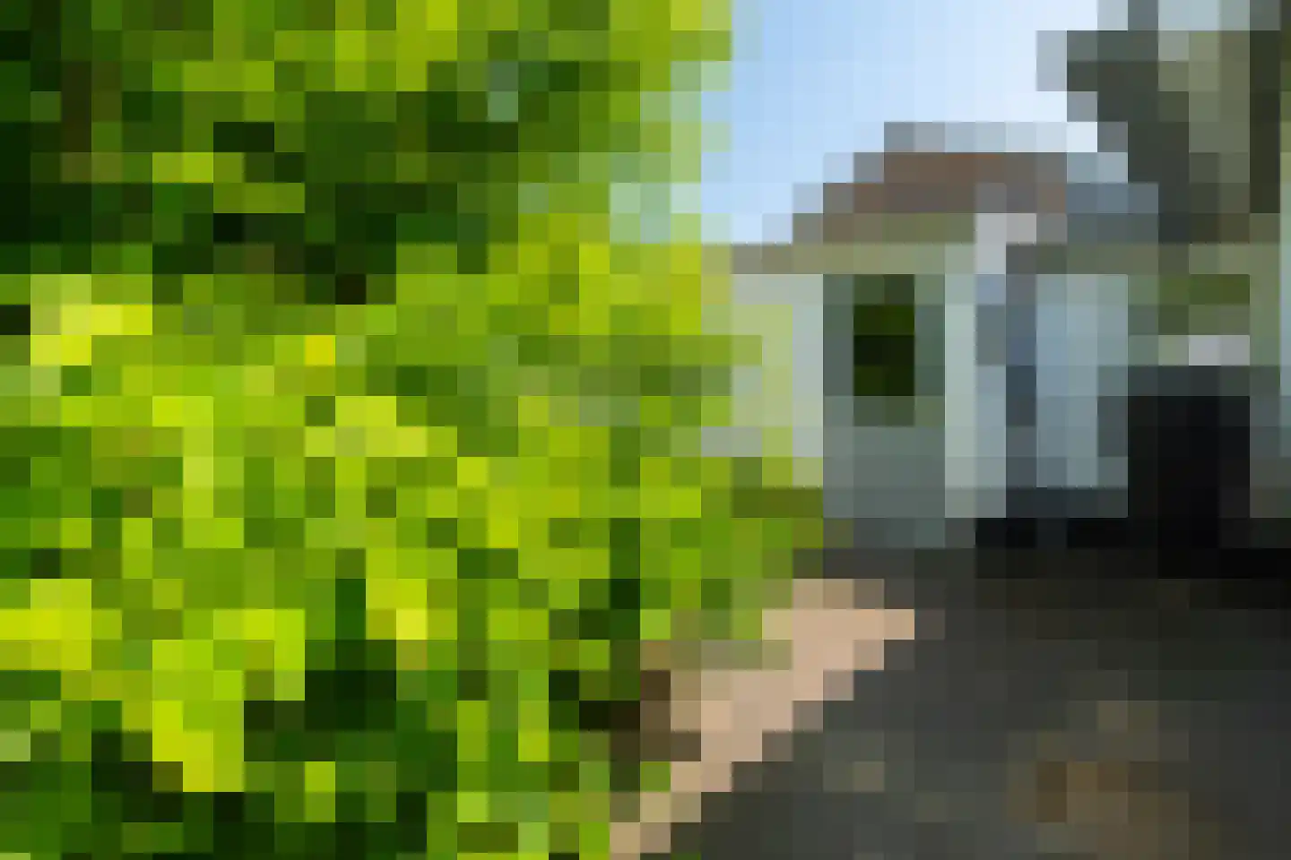Tomberstraat 5 Papenhoven thumbnail 29