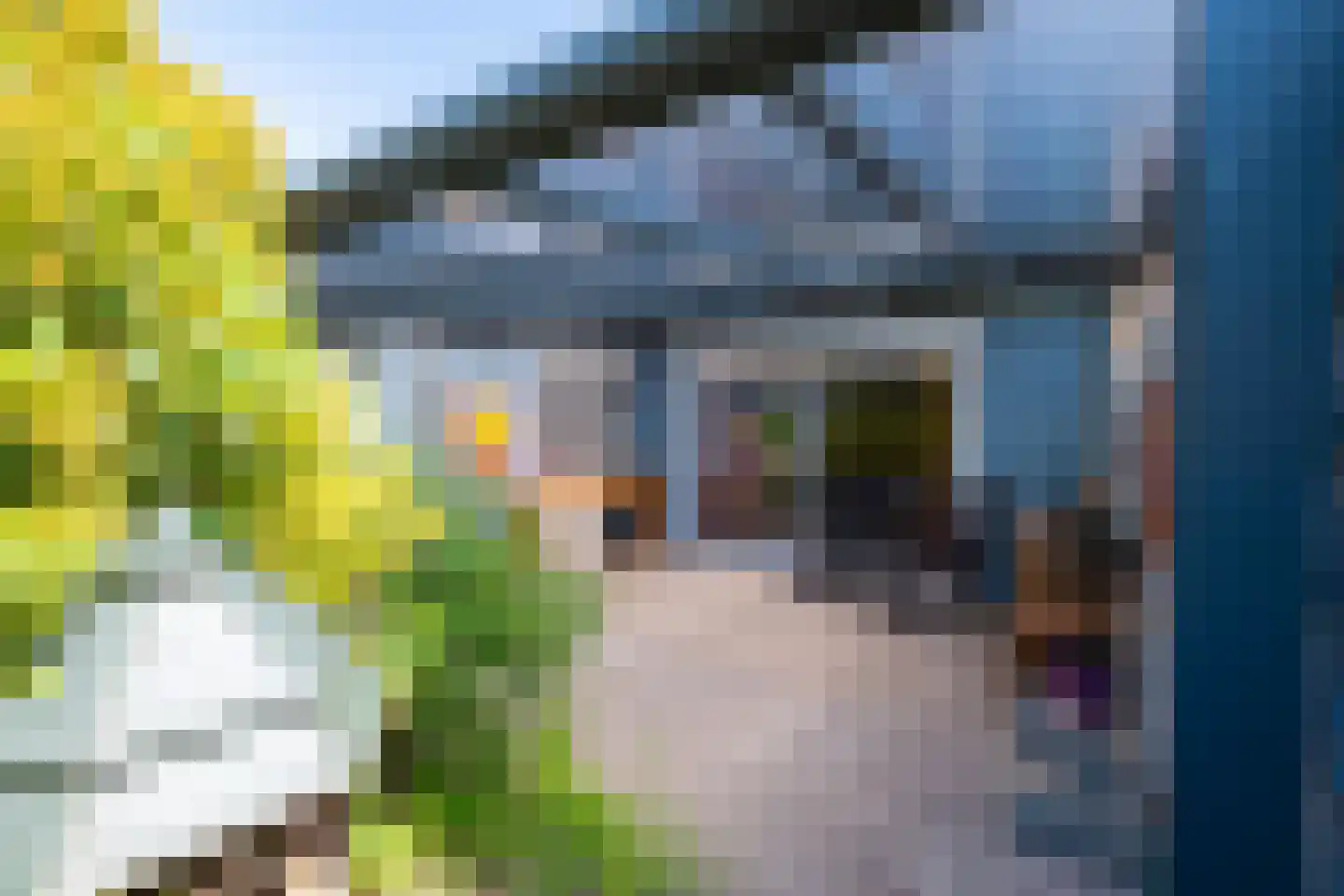 Tomberstraat 5 Papenhoven thumbnail 9