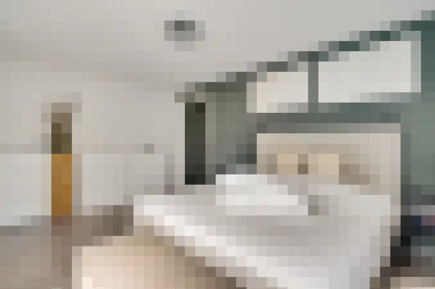 Tomeik 25 Beek thumbnail 11