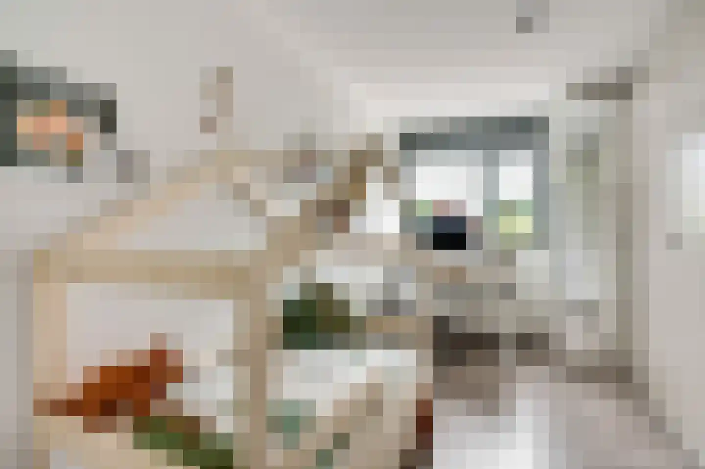 Tomeik 25 Beek thumbnail 14