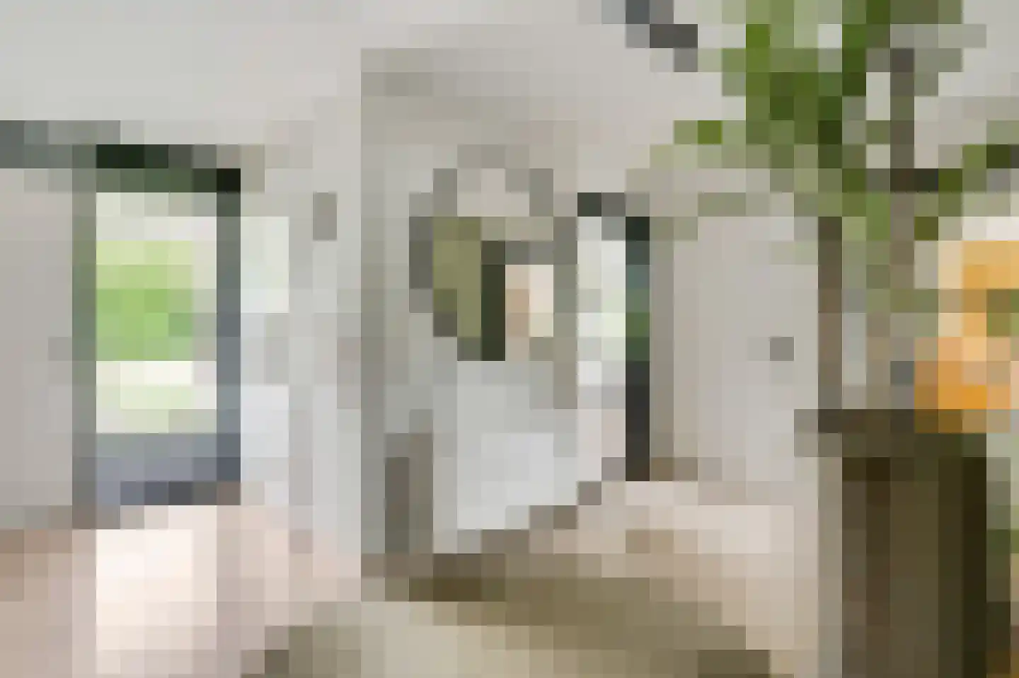 Tomeik 25 Beek thumbnail 5
