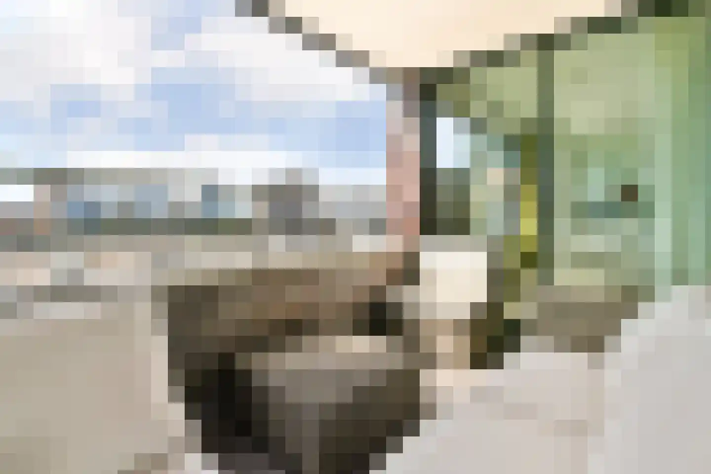 Tommaso Albinonistraat 88 Amsterdam thumbnail 12