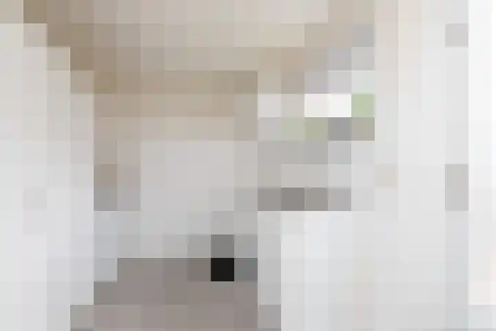 Tomme 8 a Sneek thumbnail 11