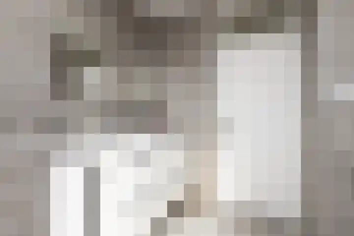 Tomme 8 a Sneek thumbnail 23