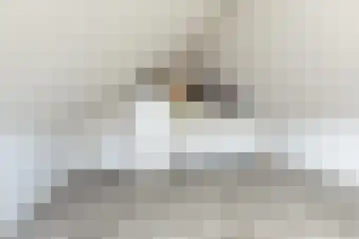 Tomme 8 a Sneek thumbnail 28