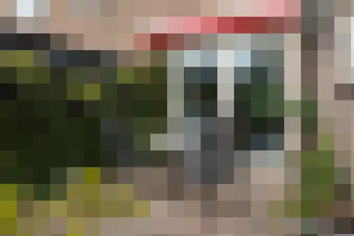 Tomme 8 a Sneek thumbnail 31
