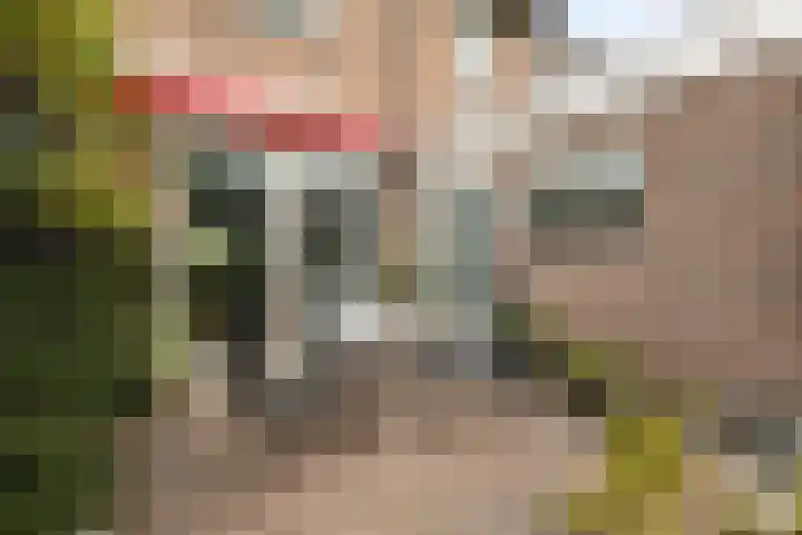 Tomme 8 a Sneek thumbnail 32