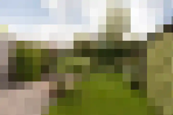 Tomme 8 a Sneek thumbnail 34