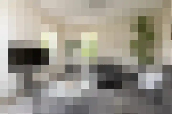 Tomme 8 a Sneek thumbnail 4