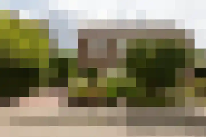 Tomme 8 a Sneek thumbnail 43