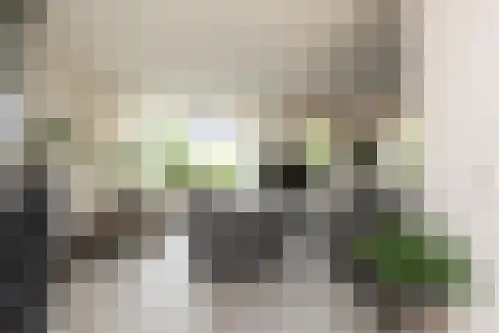 Tomme 8 a Sneek thumbnail 6